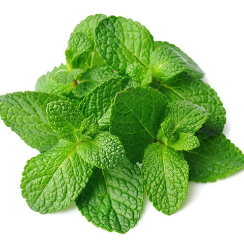 TFA Spearmint