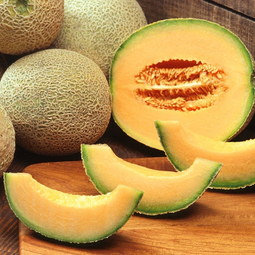 TFA Cantaloupe