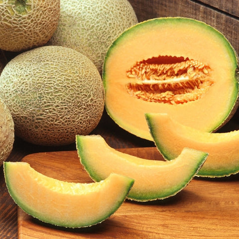 TFA Cantaloupe