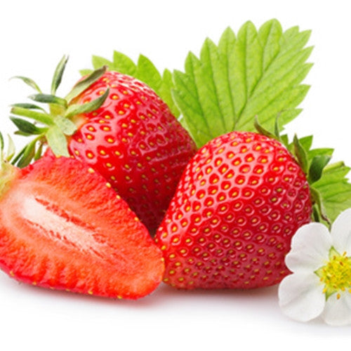 TFA Organic Strawberry