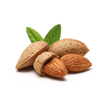 Flavourart Almond